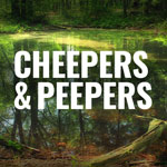 Cheepers & Peepers