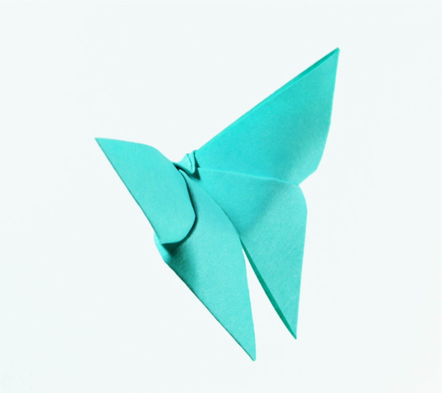 Origami Butterfly