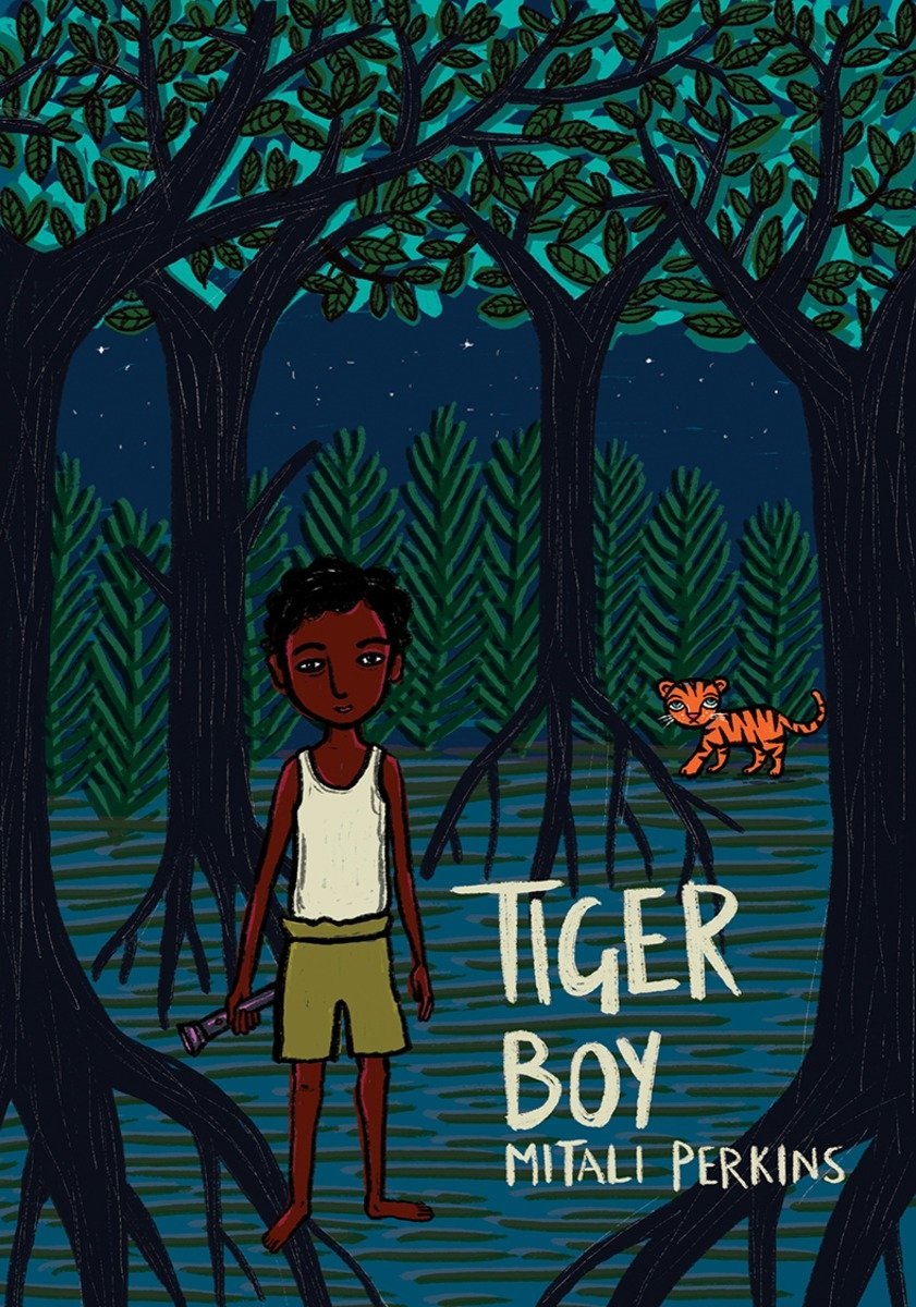 Tiger Boy cover