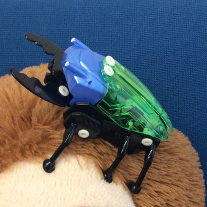 Robo-bug on Mascot Sloth's head