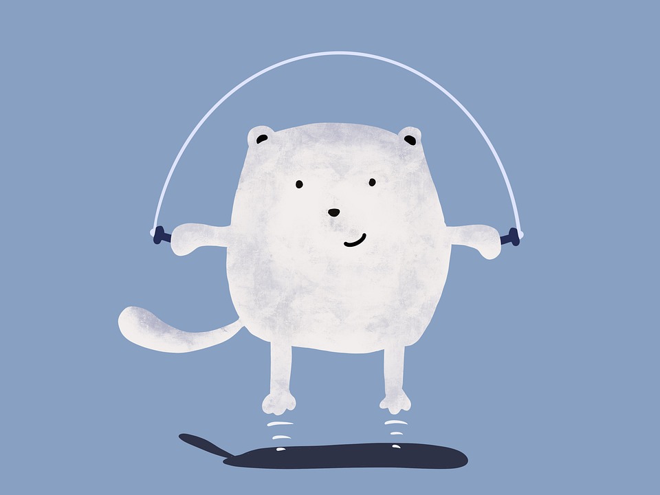 white cat jumping rope