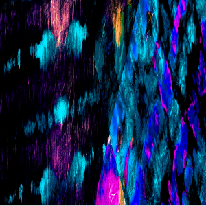 neon colors on black background