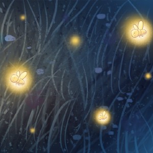 fireflies illustrations