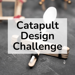 Catapult Design Challenge