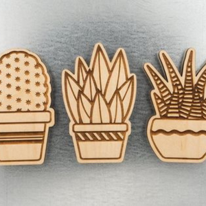 Image of Succulent Magnets