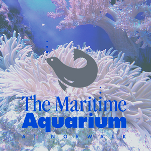 The Maritime Aquarium Logo 