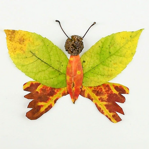 Butterfly made from fall leaves and seeds