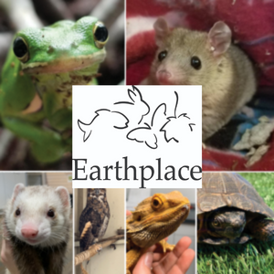 Earthplace logo with photographs of frog, mouse, possum, owl, snake and turtle