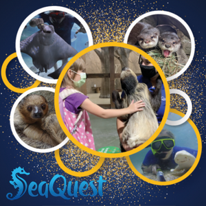 Sea Quest logo and photograph of children with animals