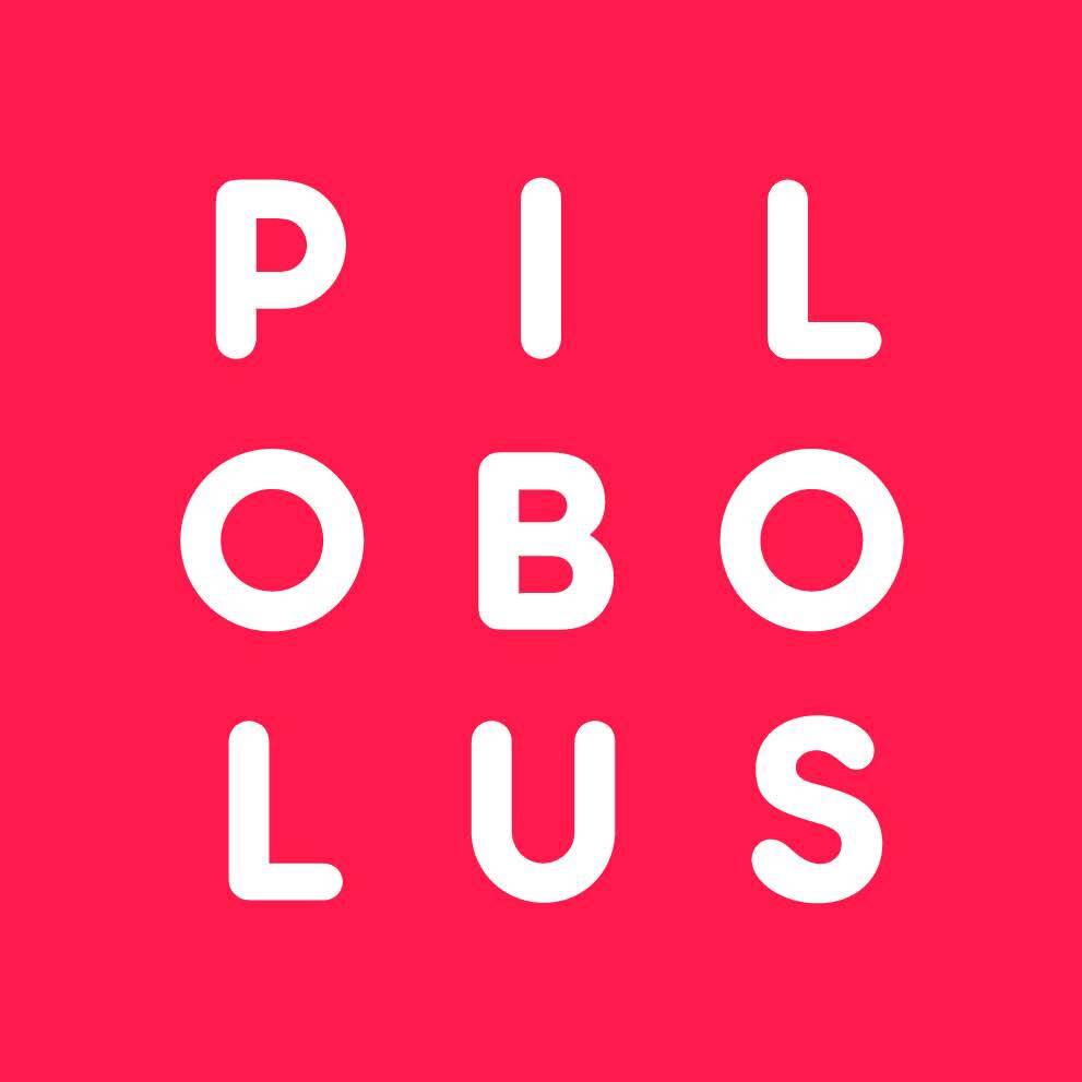 Pilobolus Logo