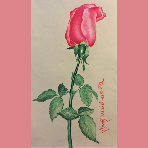 Rose Pastel by Greg Maichack