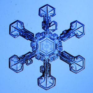 Snowflake Science