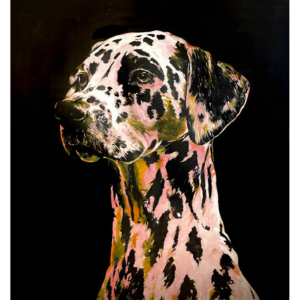 Dog by Dennis Stevens