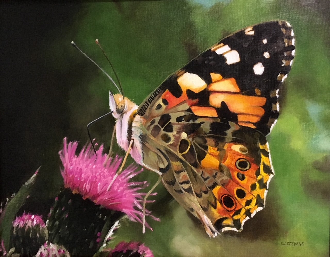 Butterfly by Dennis Stevens