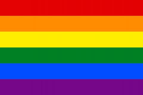 LGBTQIA+ Rainbow Flag