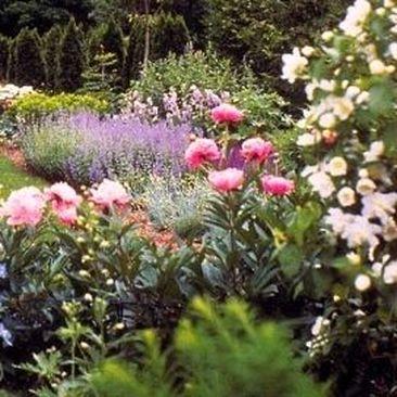 Ridgefield Garden Club