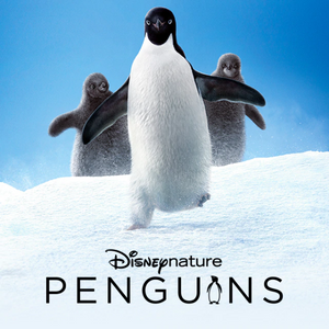 disney nature penguins