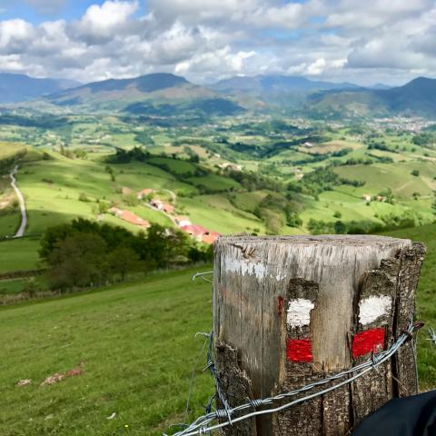 Camino de Santiago