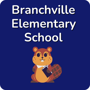 Branchville School logo on blue