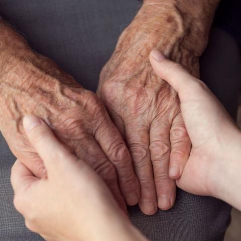 Young Hands Holding Old Hands