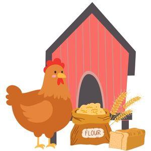 Illustration of hen with wheat and bread in front of chicken coop