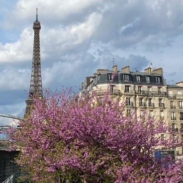View of Paris with Eiffel Tower and Flowering Trees
