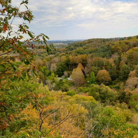 Ridgefield Trail