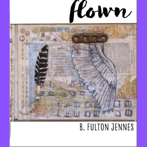 Flown Book Cover
