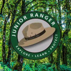 NPS ranger hat on green background