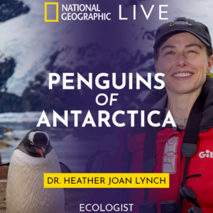 Nat Geo Live Penguins of Antarctica infographic image
