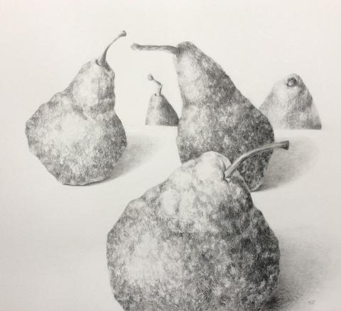 Bonnie Figgatt Pear Drawing