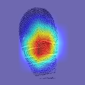 Colorful Image of a Fingerprint