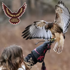 Christine's Critters logo with hawk on falconry glove