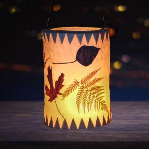 Photo of leaf lantern craft