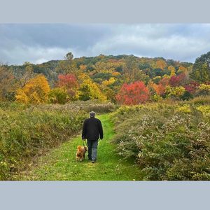Man and Dog Hiking