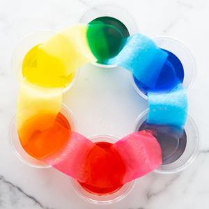 Photo of walking rainbow science experiment with colored water and paper towels