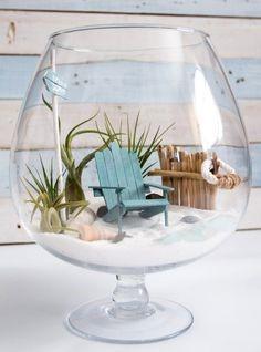 Image of an air plant terrarium