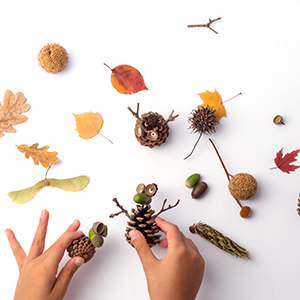 Pinecone and leaves craft