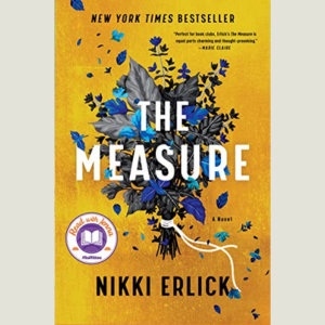 The Measure by Nikki Erlick