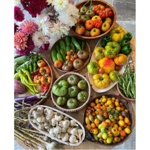 Display of Vegetable