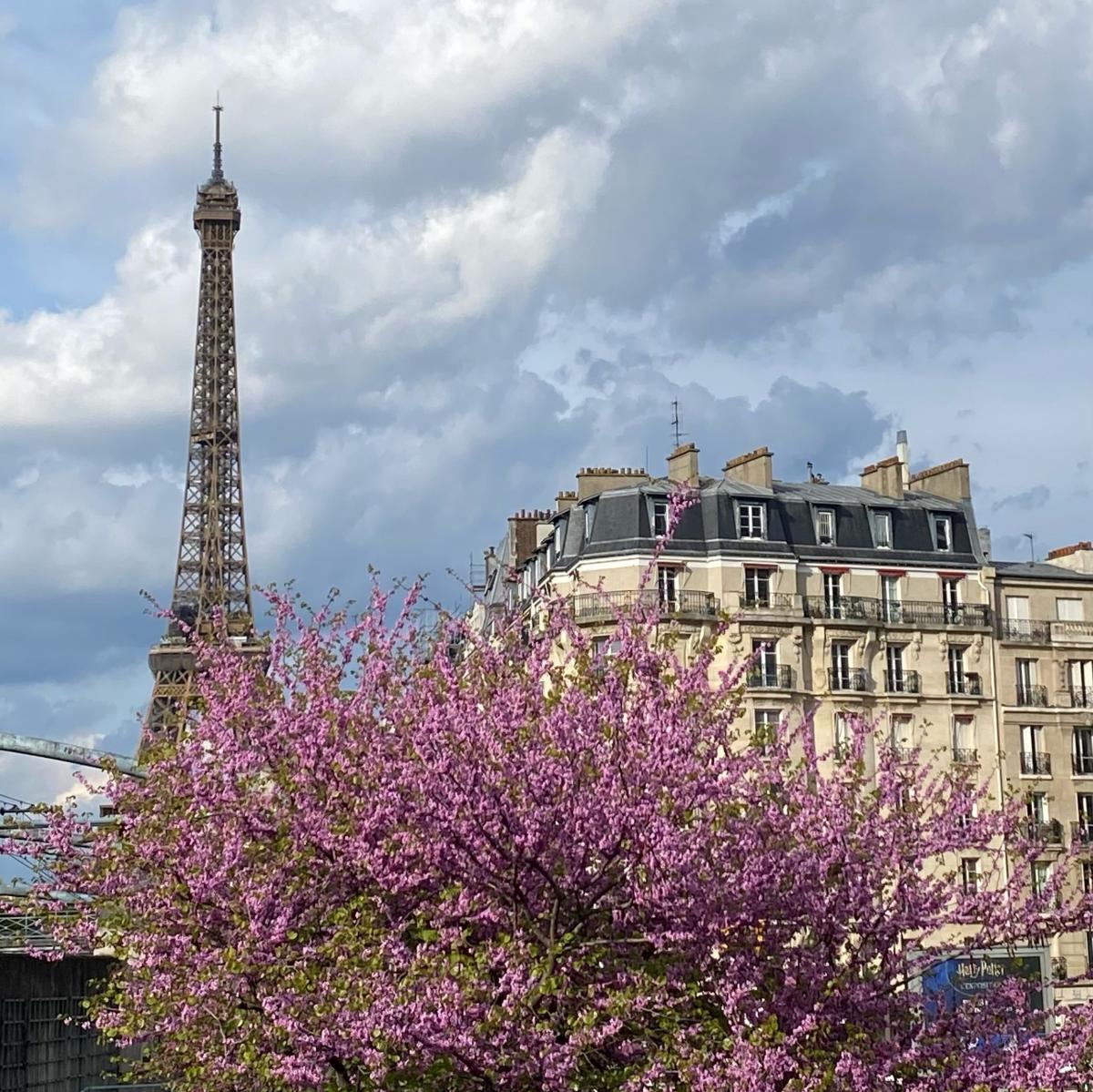 View of Paris with Eiffel Tower