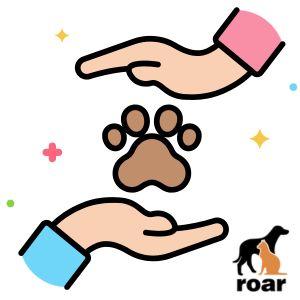 Illustrated hands around a paw with ROAR logo