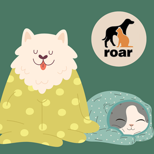 A cozy dog and cat wrapped in blankets against a dark green background. There is the ROAR logo in the upper right corner.