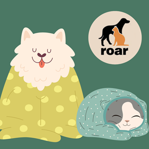 A dog and a cat sit, wrapped in blankets. ROAR's logo is in the upper right corner of the image.