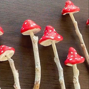 Several red and white spotted mushrooms made of clay and sticks