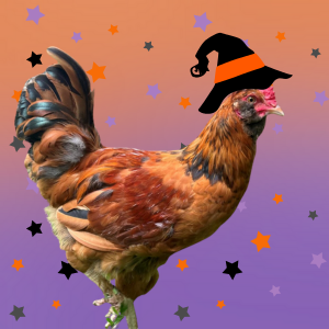 Pistachio rooster wearing witch hat 