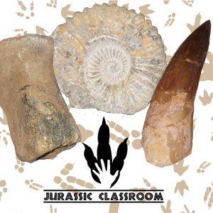 Photos of dinosaur fossils with Jurassic Classroom logo