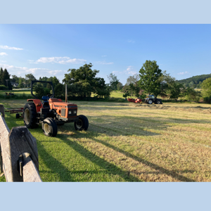 Field with Tractor