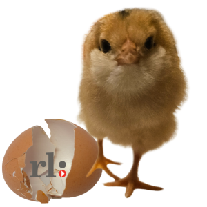Photo of Pistachio the chick hatching from egg